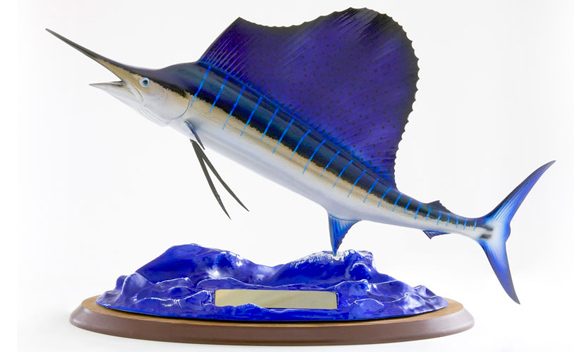 King Sailfish Miniature Fish Mounts – Capt. Harry's Fishing Supply
